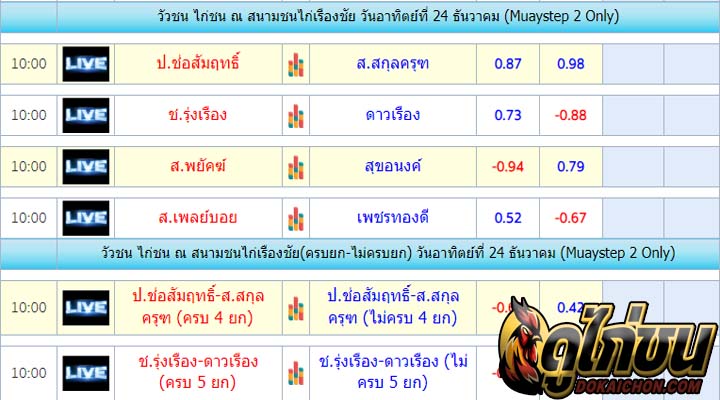 โปรแกรมไก่ชน24-12-66