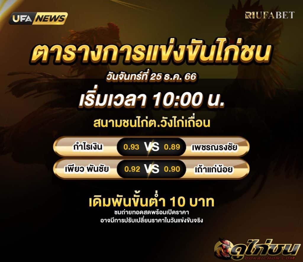 โปรแกรมไก่ชน25-12-66