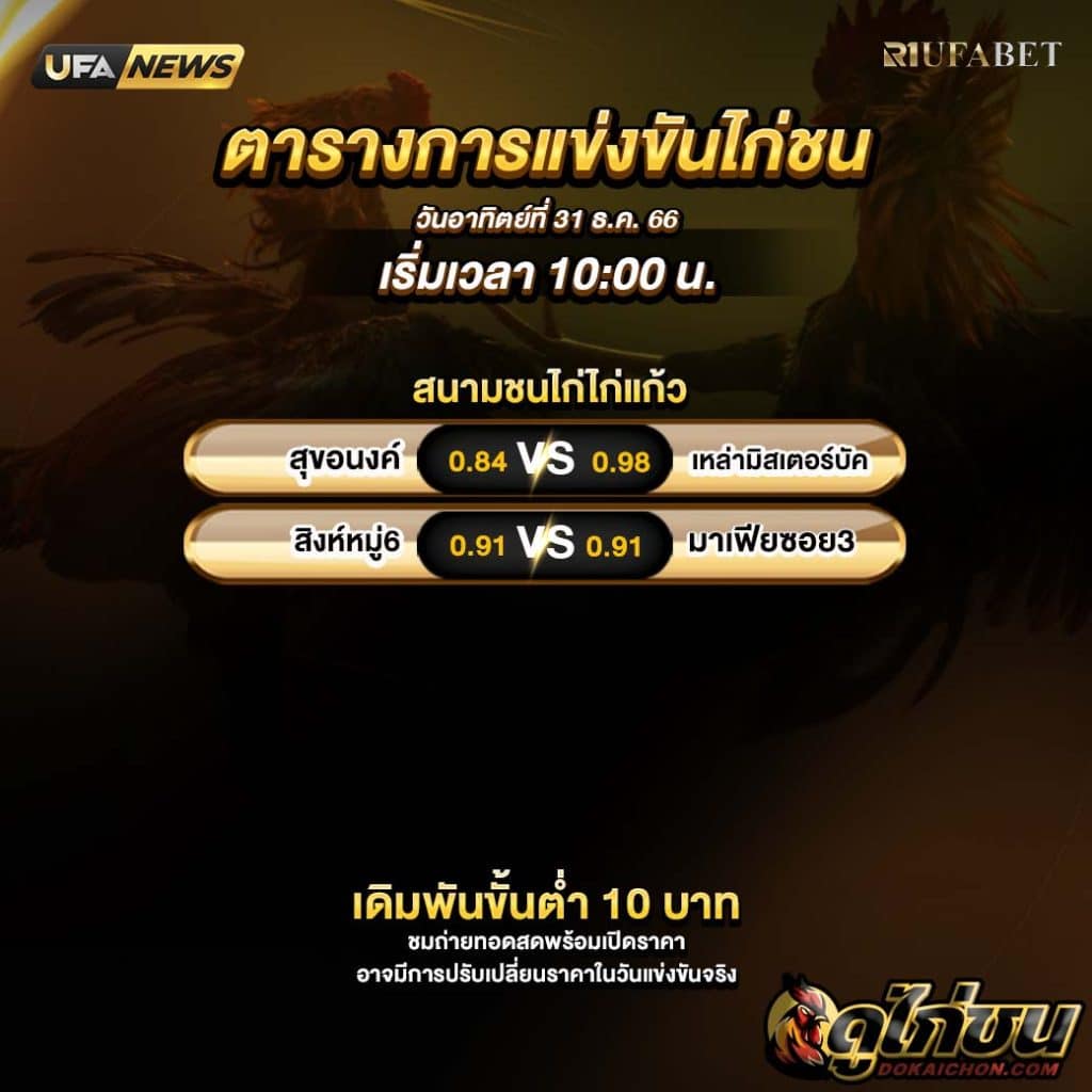 โปรแกรมไก่ชน31-12-66