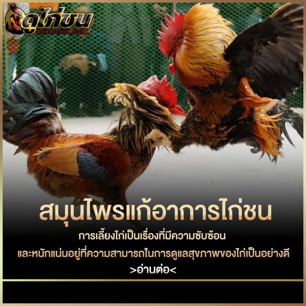 ไก่หน้าซีด