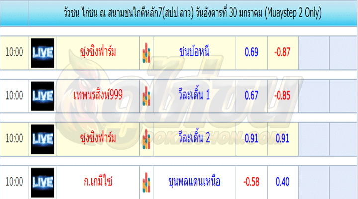 โปรแกรมไก่ชน30-01-67