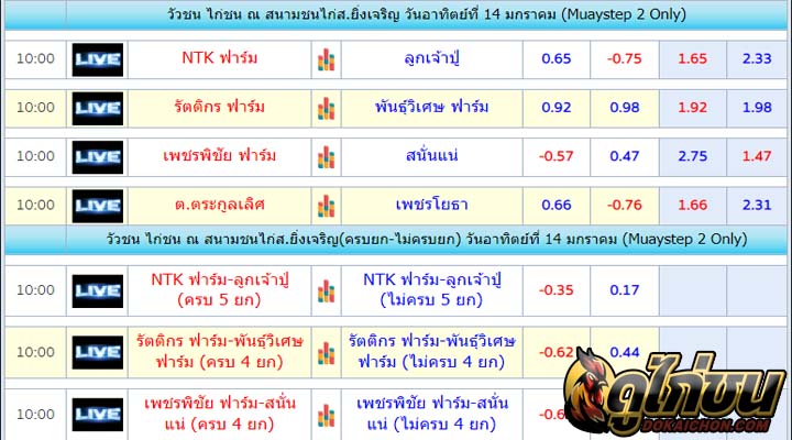 ตารางไก่ชน14-01-67