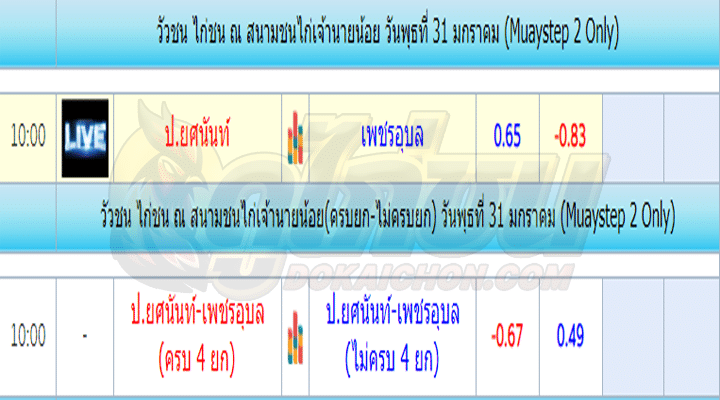 ตารางไก่ชน31-01-67