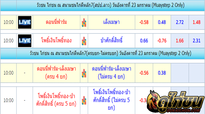 ตารางไก่ชน23-01-67