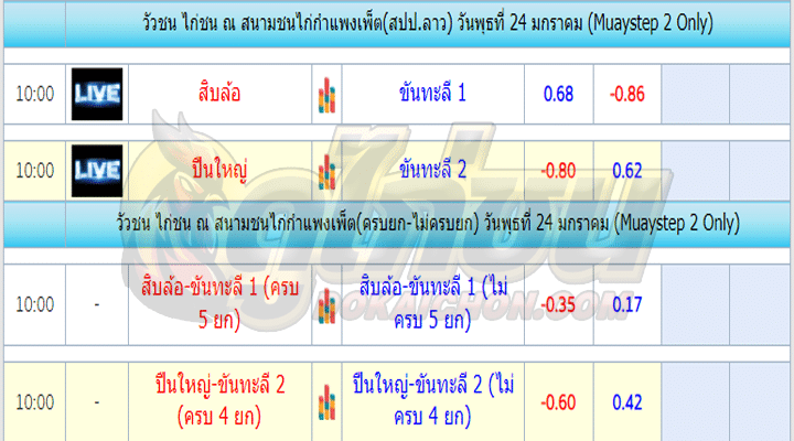 ตารางไก่ชน24-01-67