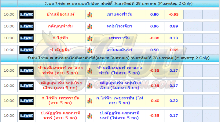 ตารางไก่ชน28-01-67