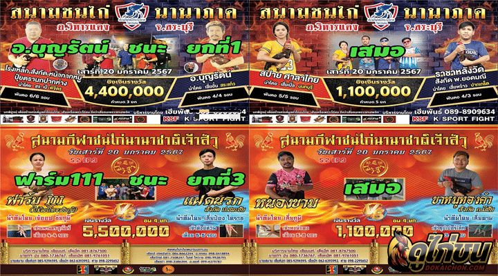 ผลไก่ชน20-01-67