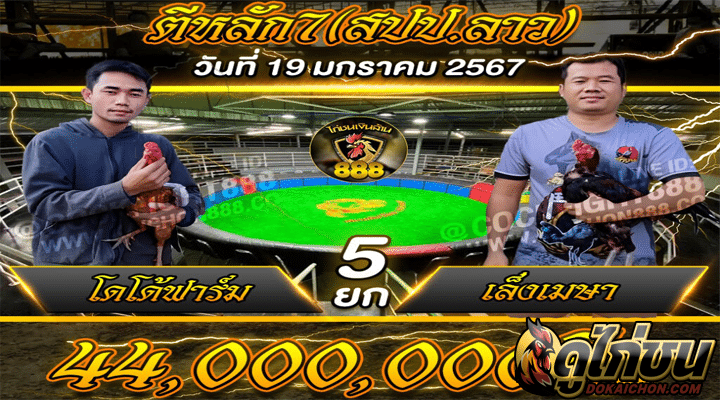 โปรแกรมไก่ชน19-01-67