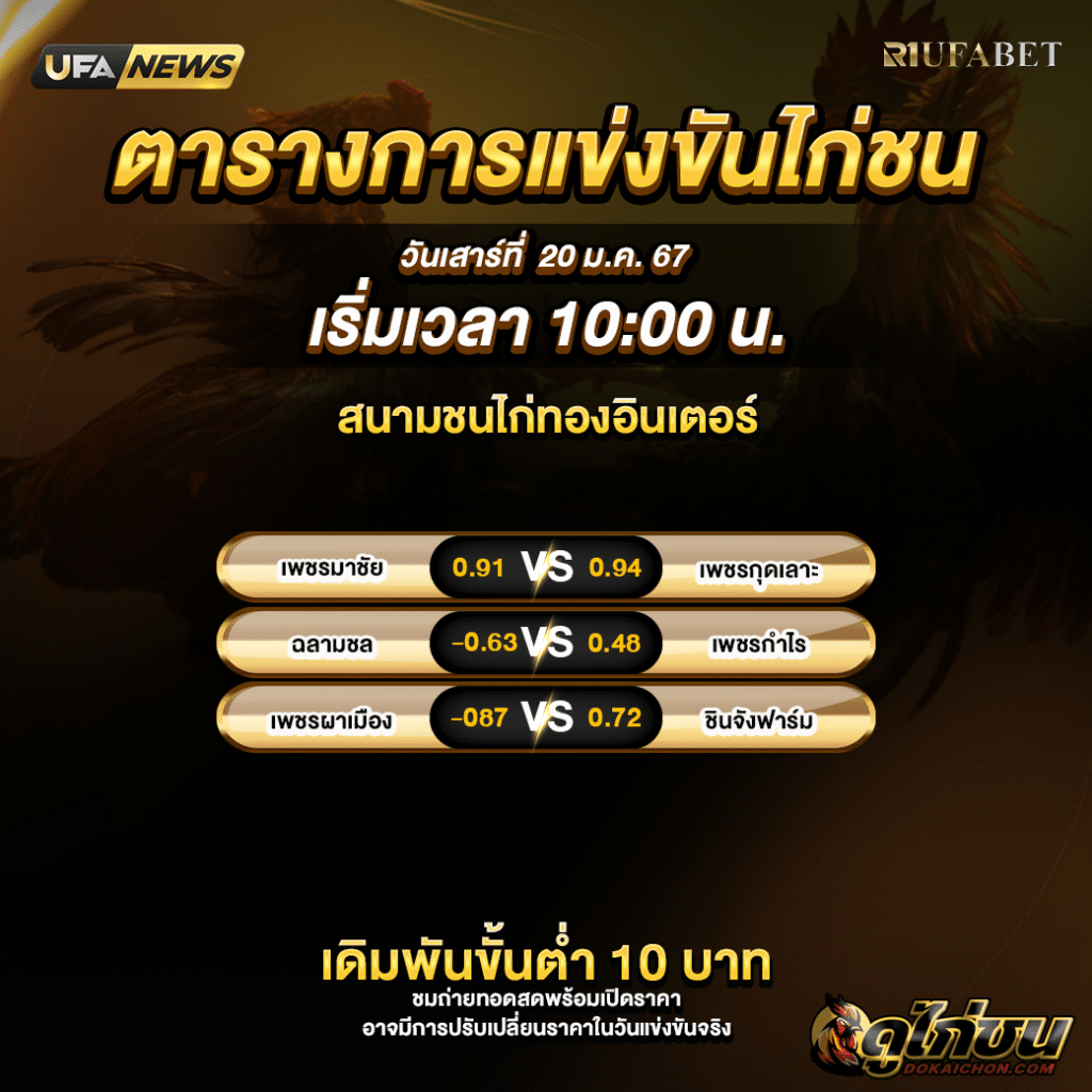 โปรแกรมไก่ชน20-01-67