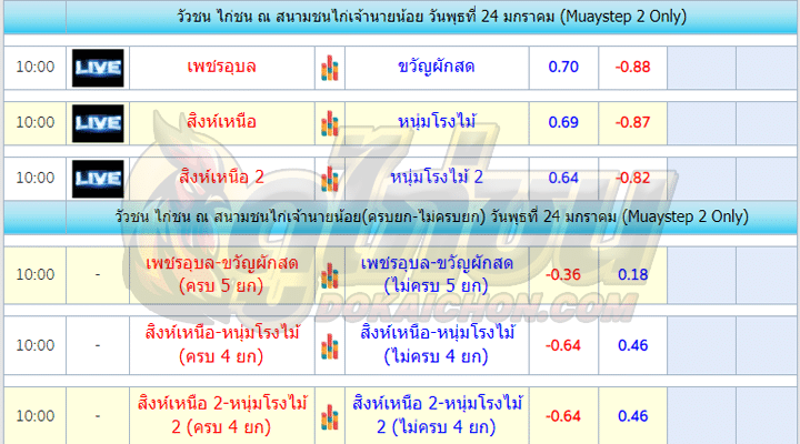 โปรแกรมไก่ชน24-01-67