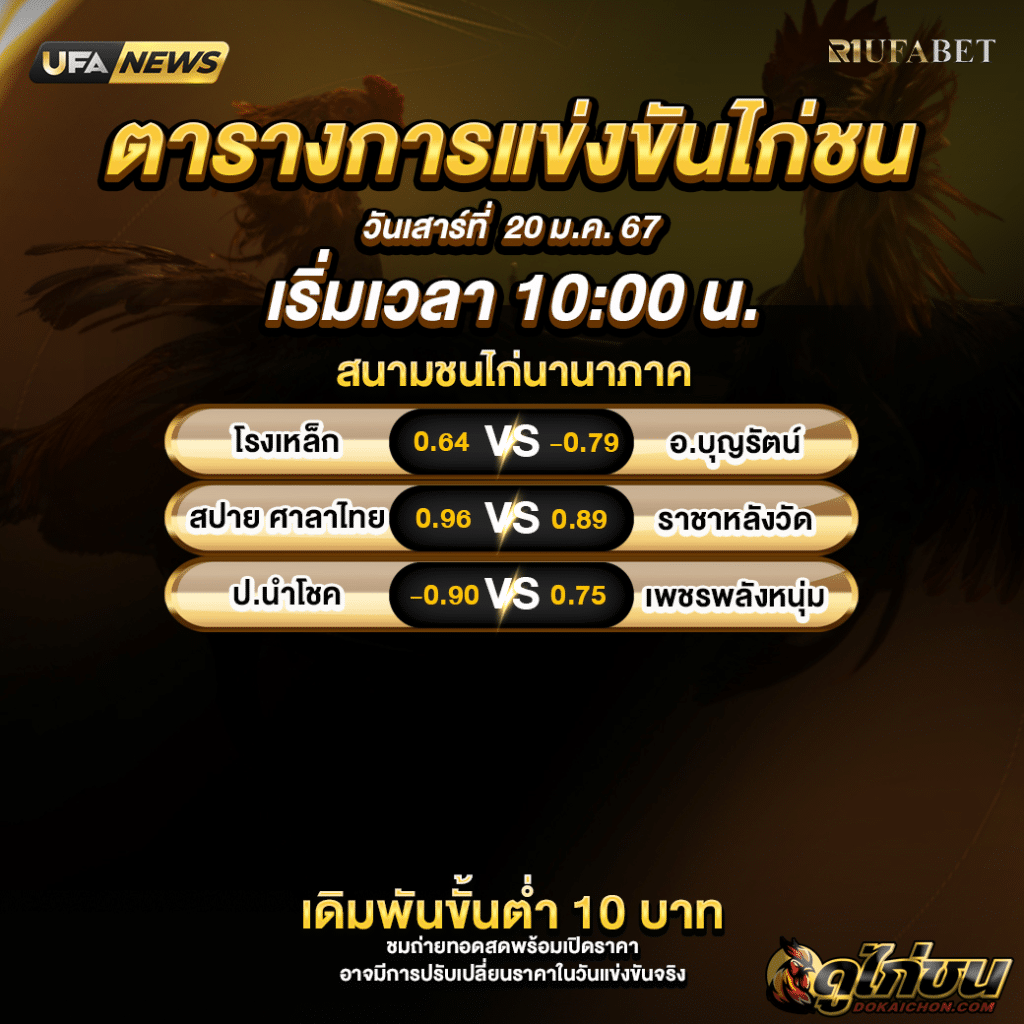 การแข่งขันไก่ชน20-01-67