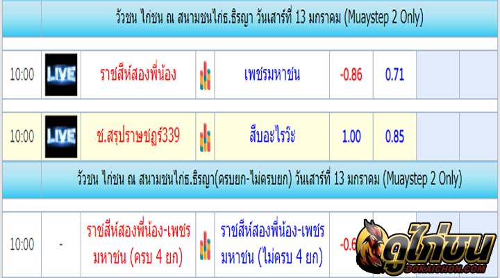 การแข่งขันไก่ชน13-01-67