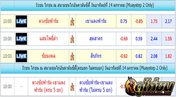 การแข่งขันไก่ชน14-01-67