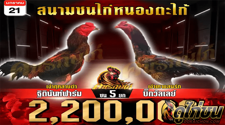 โปรแกรมไก่ชน21-01-67