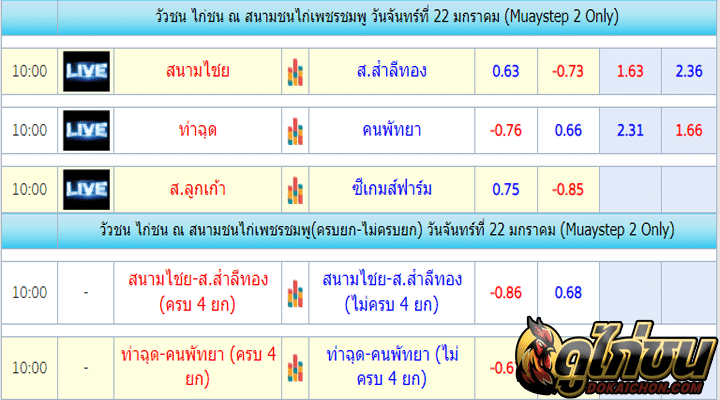 ตารางไก่ชน22-01-67