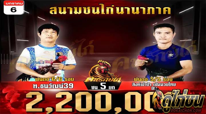 การแข่งขันไก่ชน06-01-67