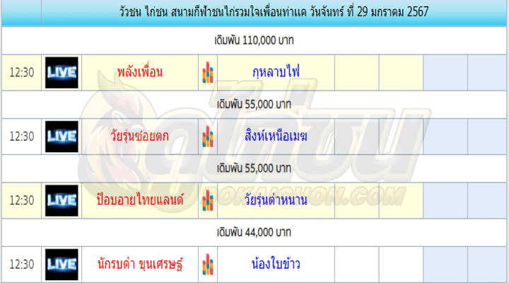 การแข่งขันไก่ชน29-01-67