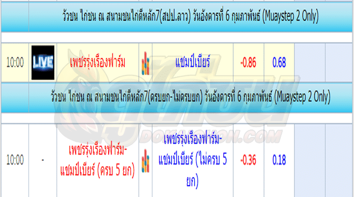 โปรแกรมไก่ชน6-2-67