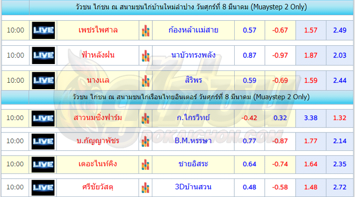 ตารางไก่ชน8-3-67