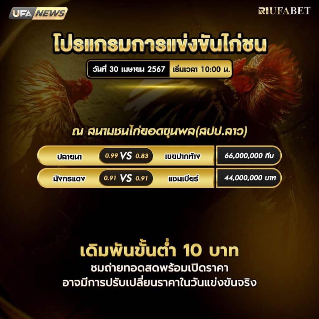 โปรแกรมไก่ชน30-4-67