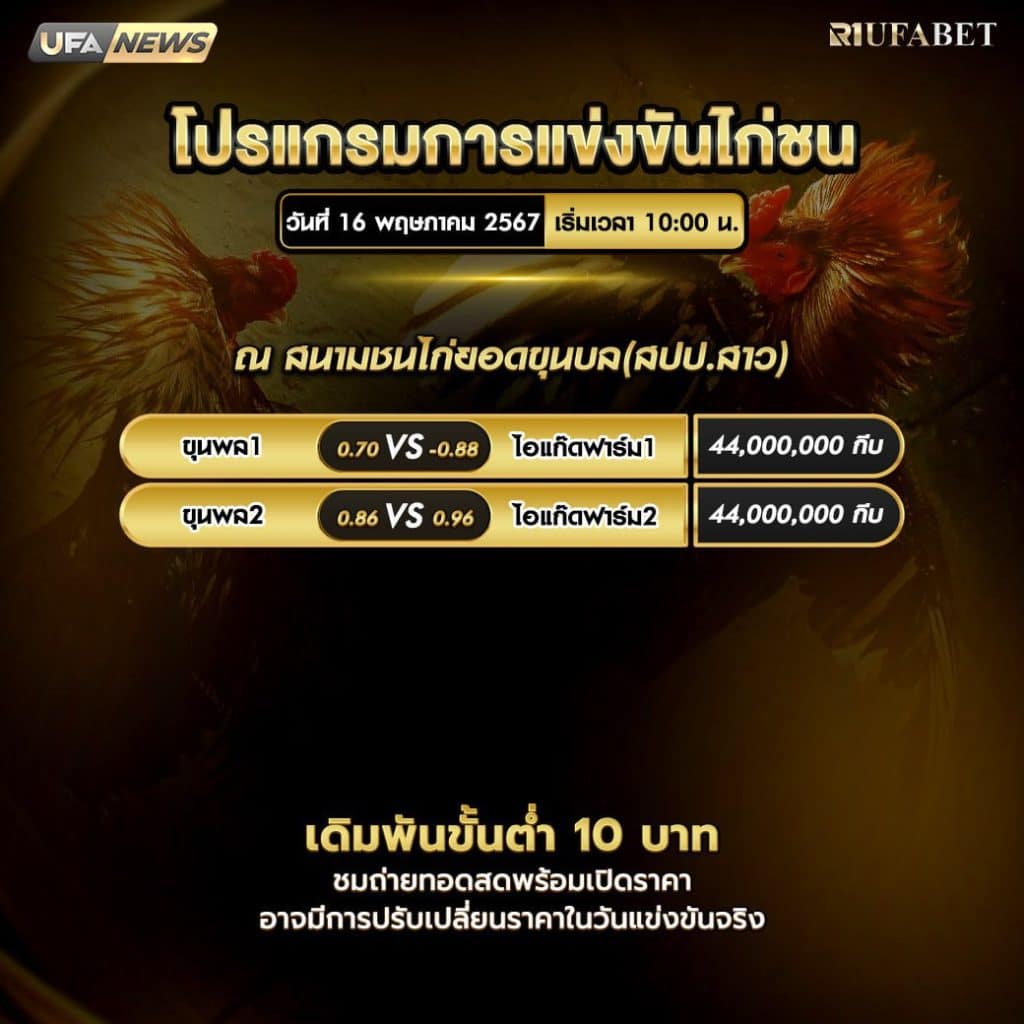 โปรแกรมไก่ชน16-5-67