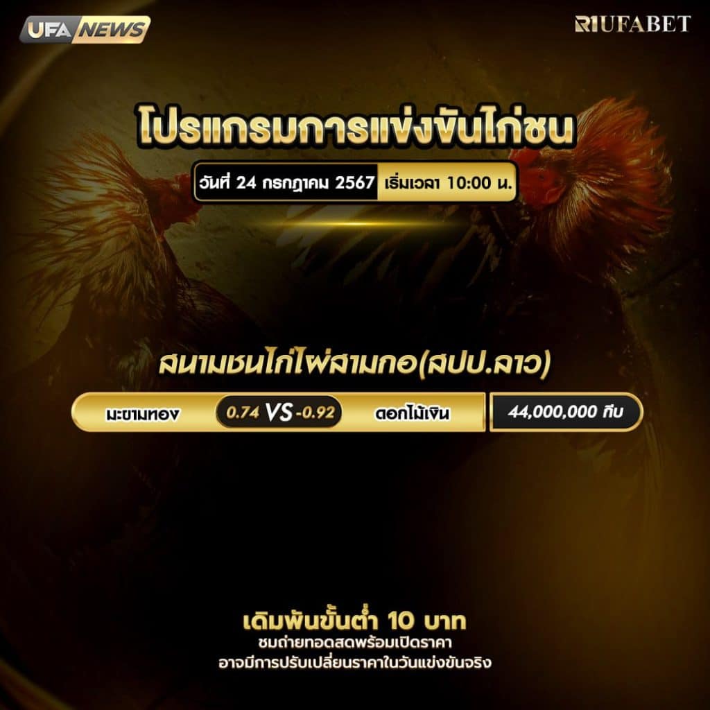 โปรแกรมไก่ชน24-7-67