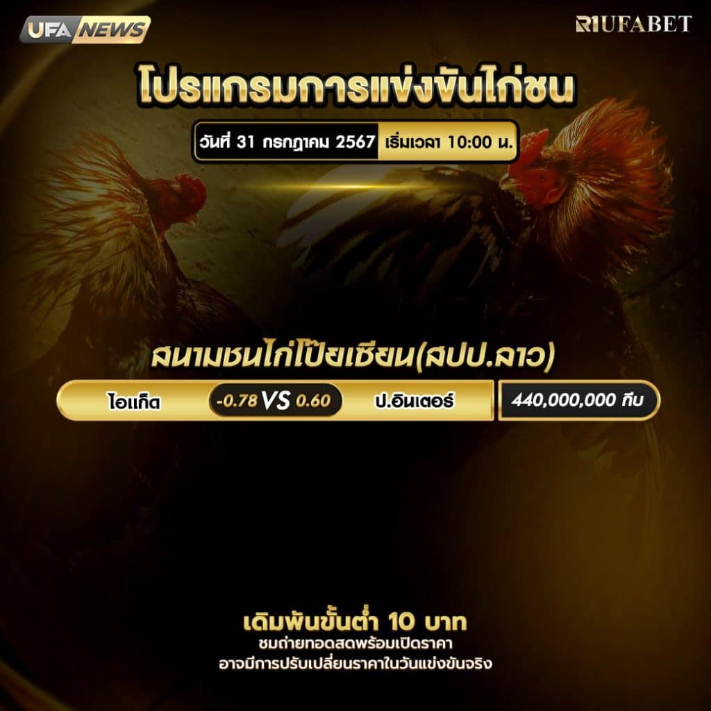 โปรแกรมไก่ชน31-7-67